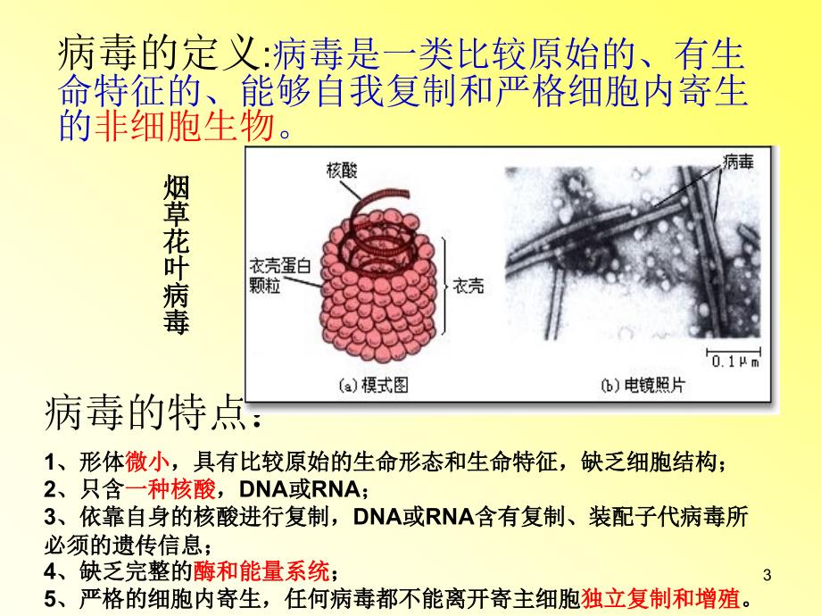 常见致病病毒与疾病ppt课件_第3页