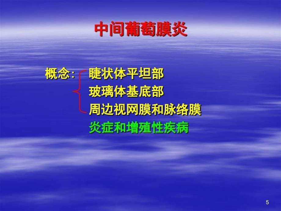 葡萄膜炎及其治疗王红介绍课件_第5页