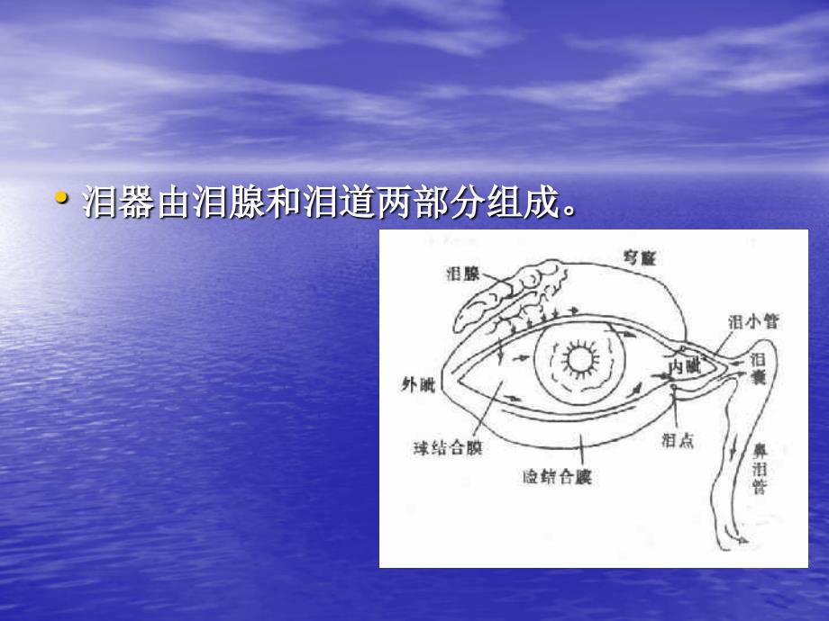 泪囊炎病人的护理课件_第4页