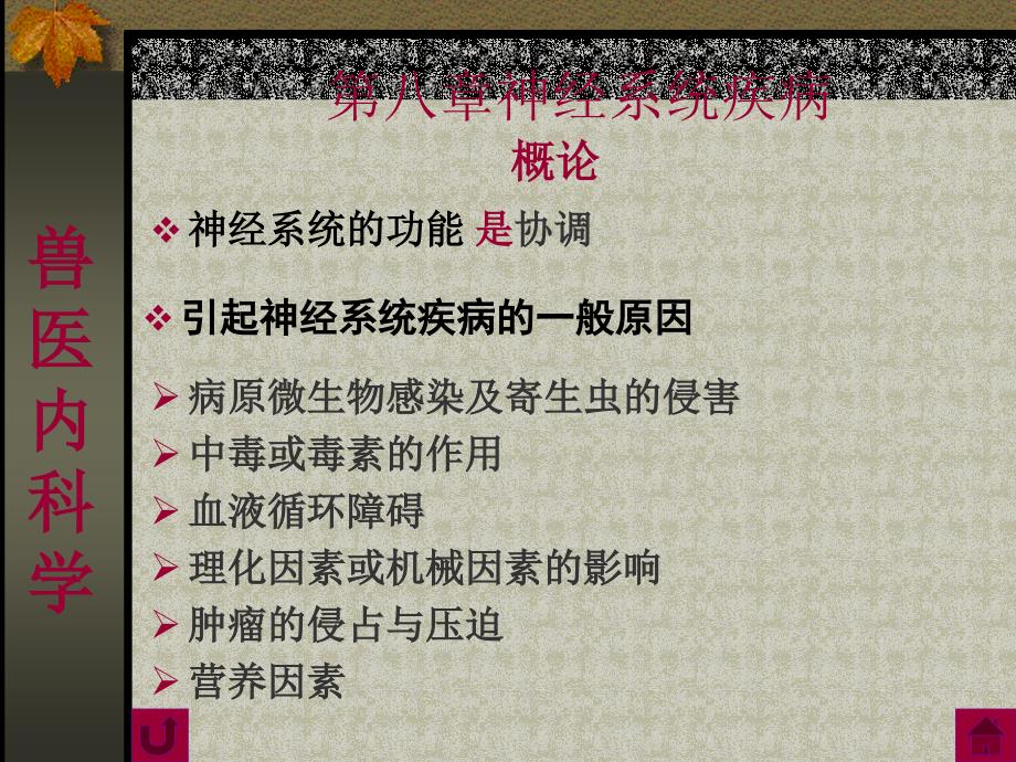 概论第一节_脑及脑膜疾病第二节 脊髓及脊髓膜疾病 第三节 神课件_第3页