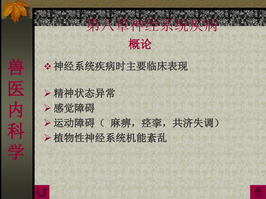 概论第一节_脑及脑膜疾病第二节 脊髓及脊髓膜疾病 第三节 神课件_第4页