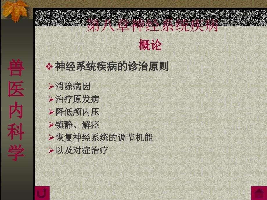 概论第一节_脑及脑膜疾病第二节 脊髓及脊髓膜疾病 第三节 神课件_第5页