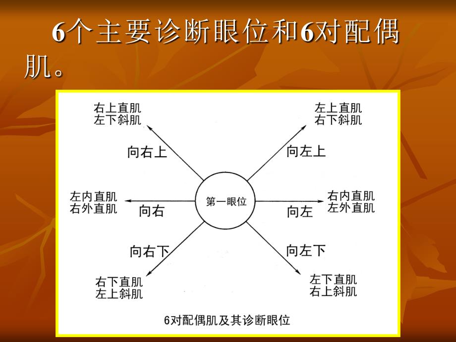 斜弱视课件_第4页