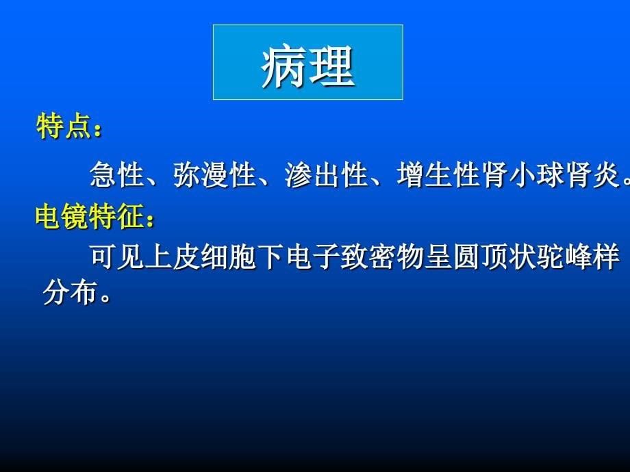 精品二急性肾小球肾炎_1课件_第5页