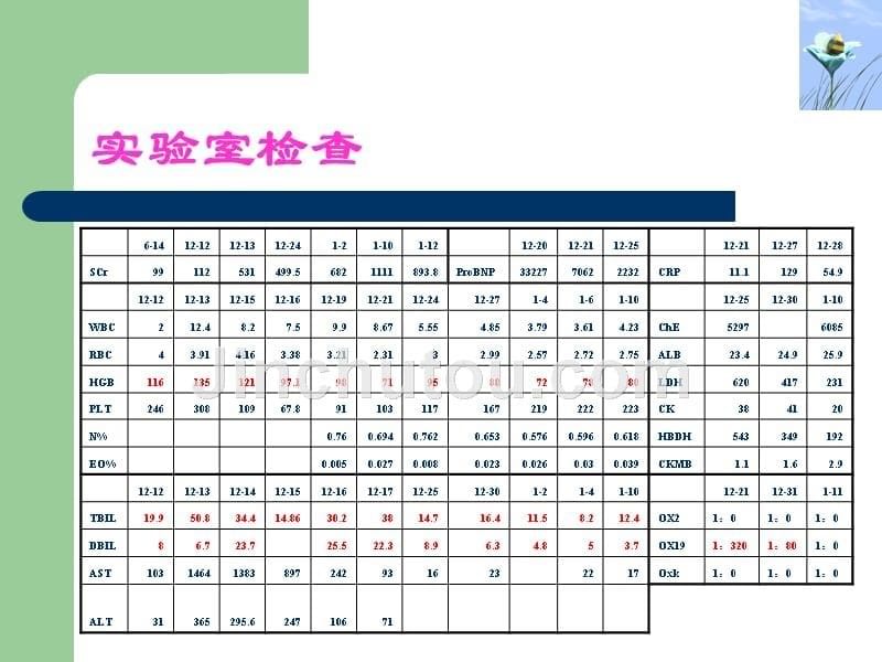 药物性溶血课件_第5页