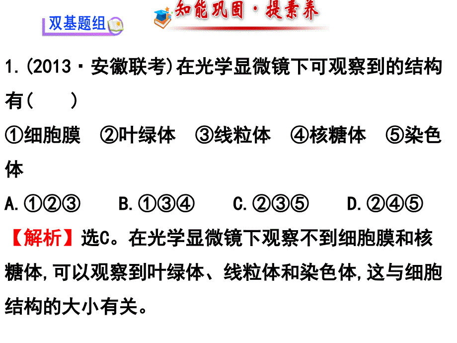 第四章 物质跨膜运输的方式（一轮复习）课件_第3页