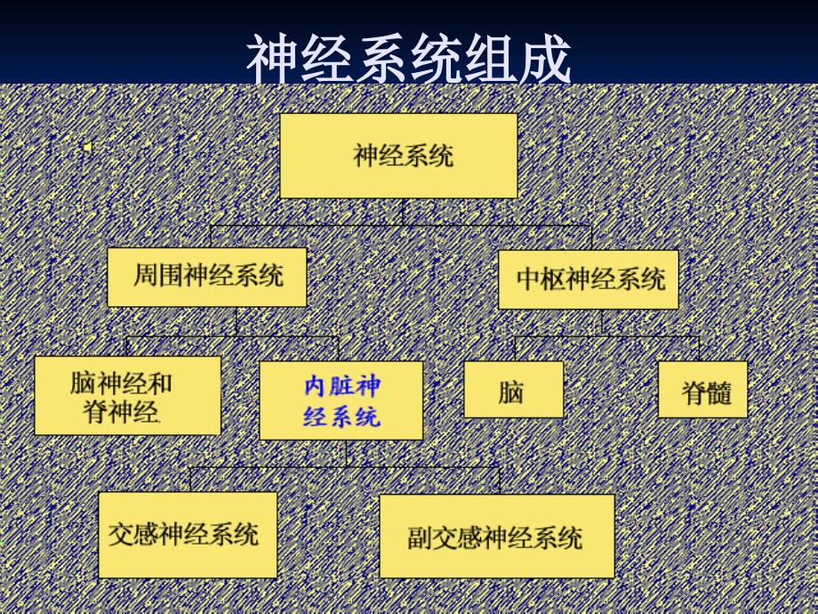 面神经炎_1课件_第3页