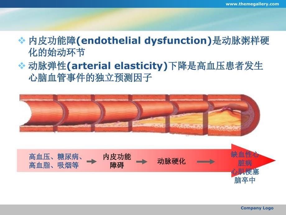 降压治疗对循环内皮微颗粒水平与动脉弹性的影响课件_第5页