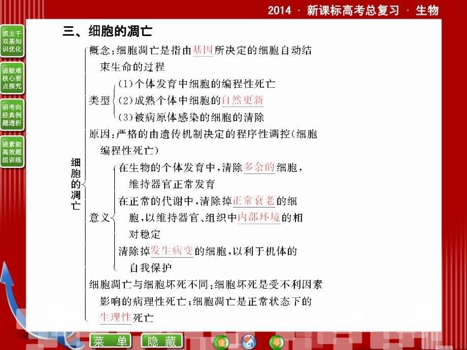 课件2014届新课标高考生物总复习配套课件162细胞的分化衰老凋亡和癌变_第5页