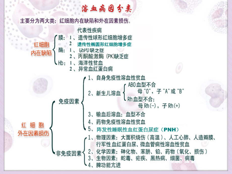 溶血性贫血概述hemolytic_课件_第4页