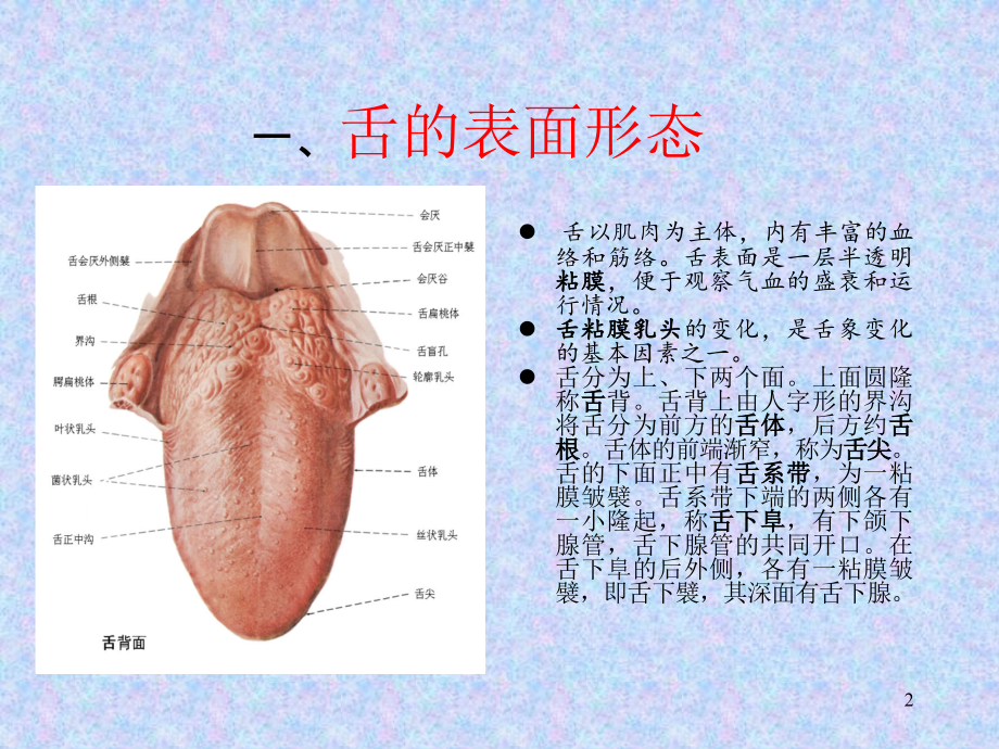 舌诊实训课件_第2页