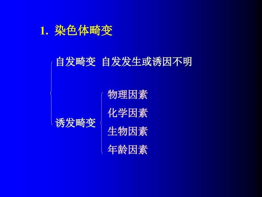 致畸原能引起先天畸形的因素一课件_第5页