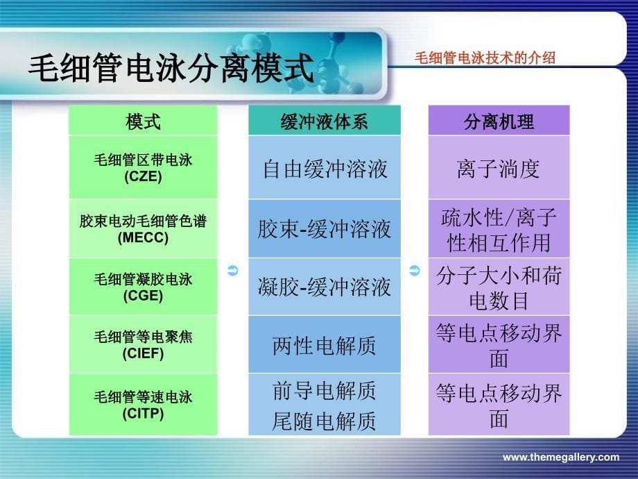 精品ppt食品中人工合成色素的毛细管电泳分离检测研究课件_第5页