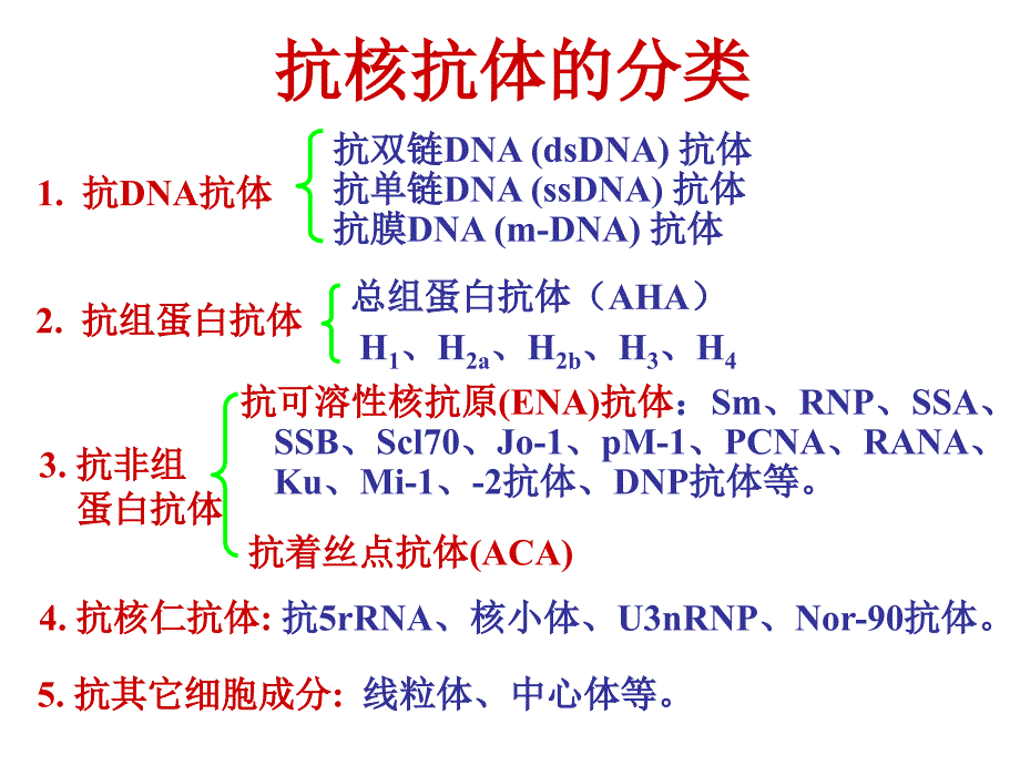 自身抗体与风湿病课件_第4页