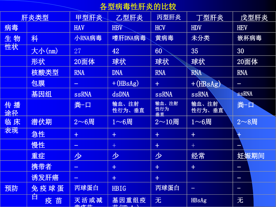 肝炎病毒精品课件_第3页