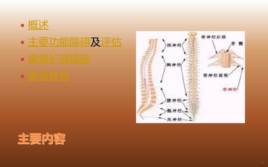 常见脊髓疾病的护理 ppt课件_第2页