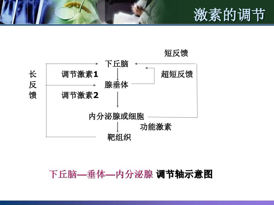 甲状腺相关激素检测临床意义_第3页