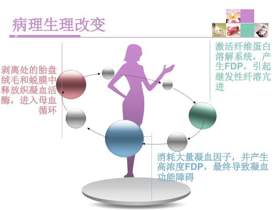 胎盘早剥的观察及护理课件_第5页