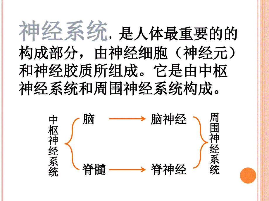 精神神经性障碍的医学基础课件_第3页