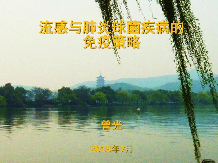 整理版曾光流感与肺炎球菌疾病的免疫计谋课件_第1页