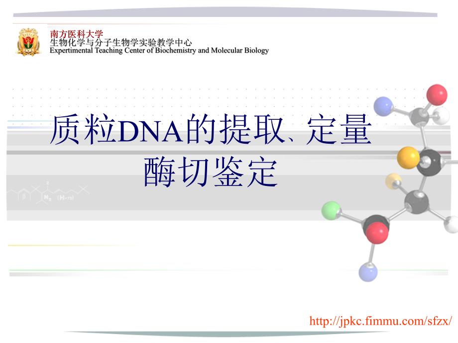 质粒dna的提取与鉴定课件_第1页