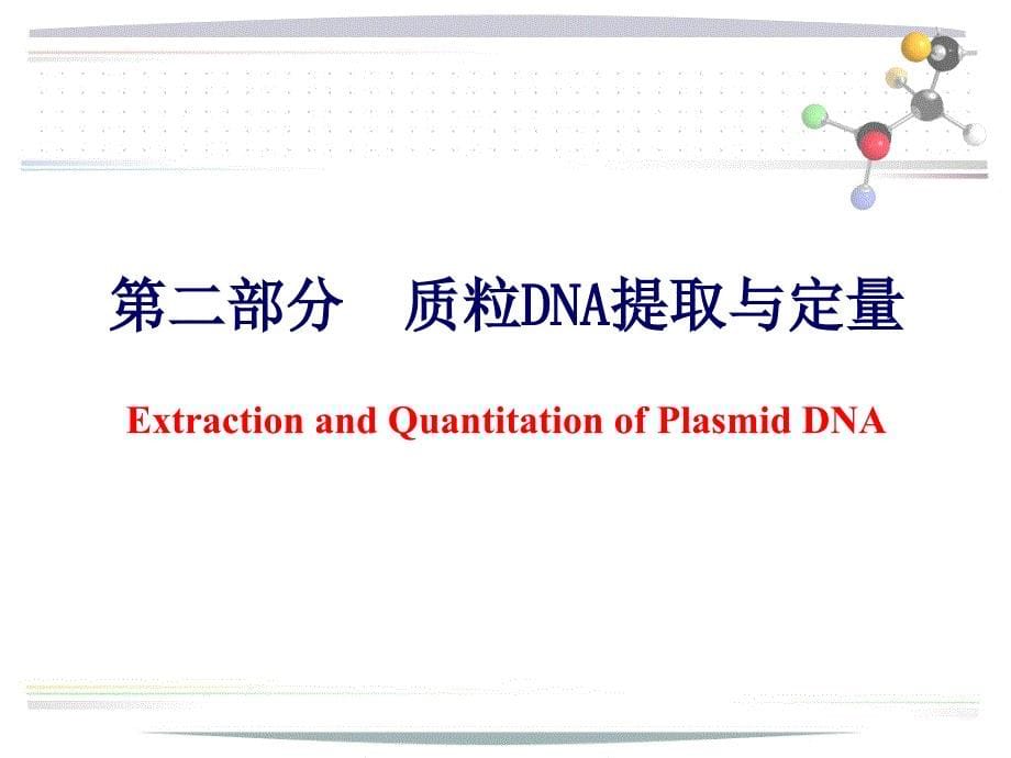 质粒dna的提取与鉴定课件_第5页