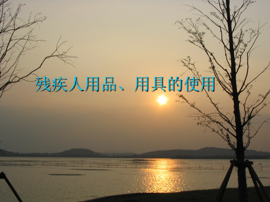 残疾人用品用具PPT课件_第1页
