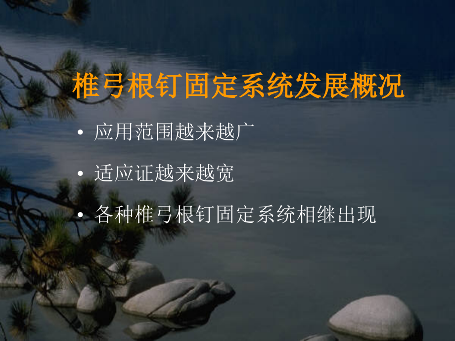 椎弓根钉置入技术讲座课件_第2页