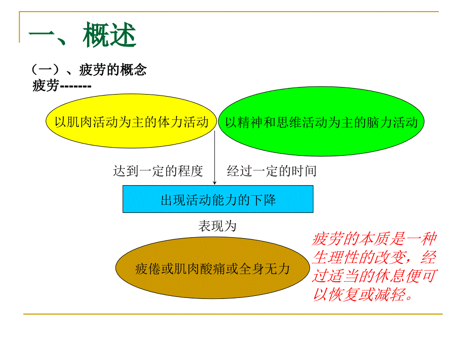 缓解体力疲劳的功能性食品课件_第4页