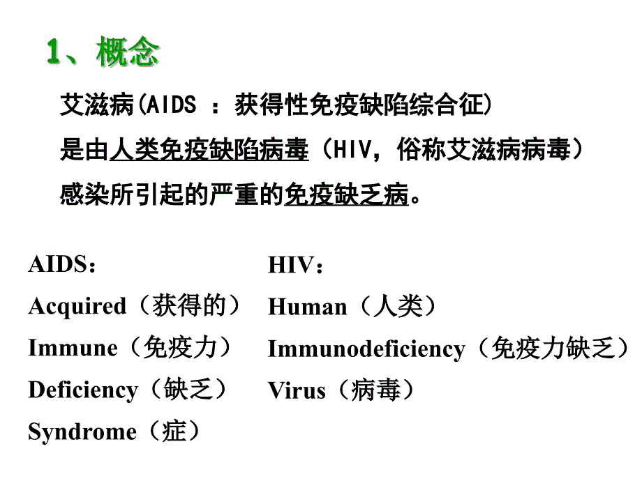 第三节 免疫系统的功能异常课件_1_第4页