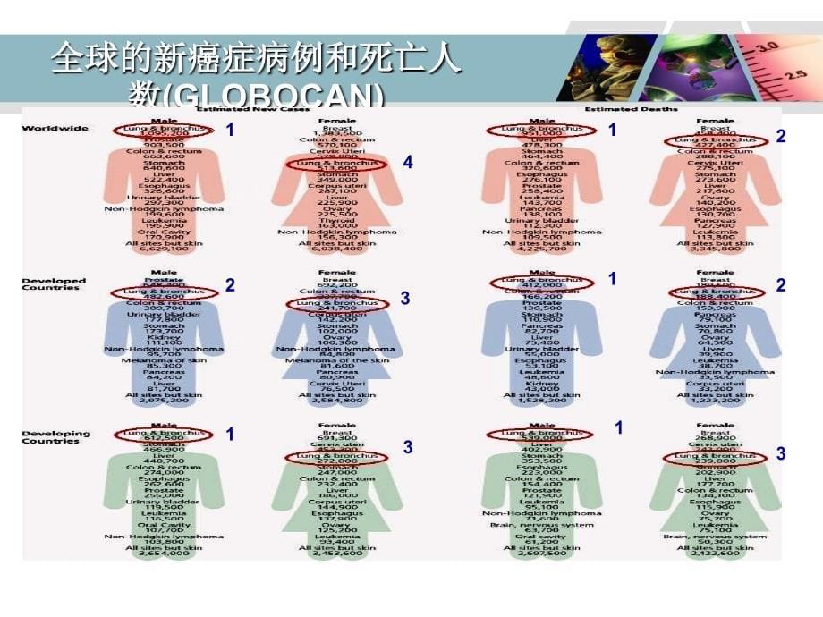 病例分享肺癌ppt课件_第5页