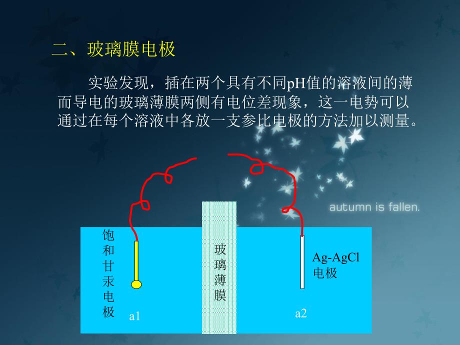 仪器分析：电位分析法与选择性电极_第4页