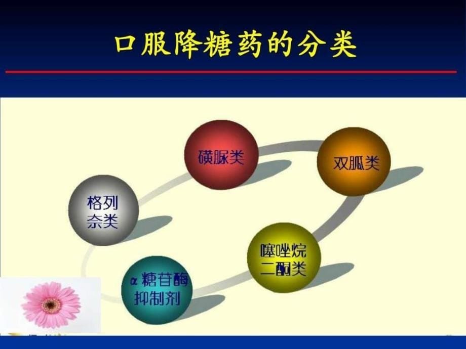 糖尿病口服药物图文课件_第5页