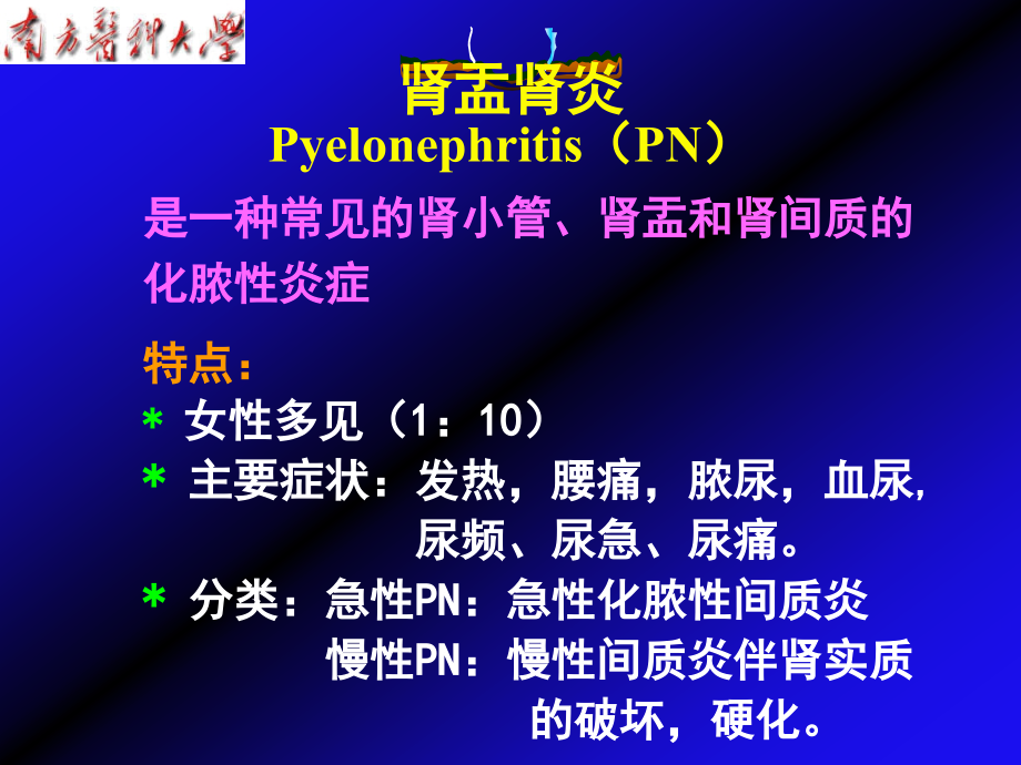 泌尿系统肾盂肾炎与肿瘤课件_第3页