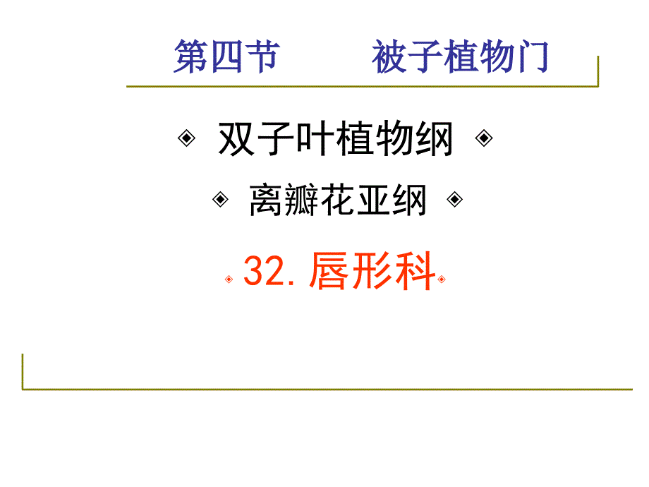 药用植物学与生药学28唇形科ppt课件_第2页