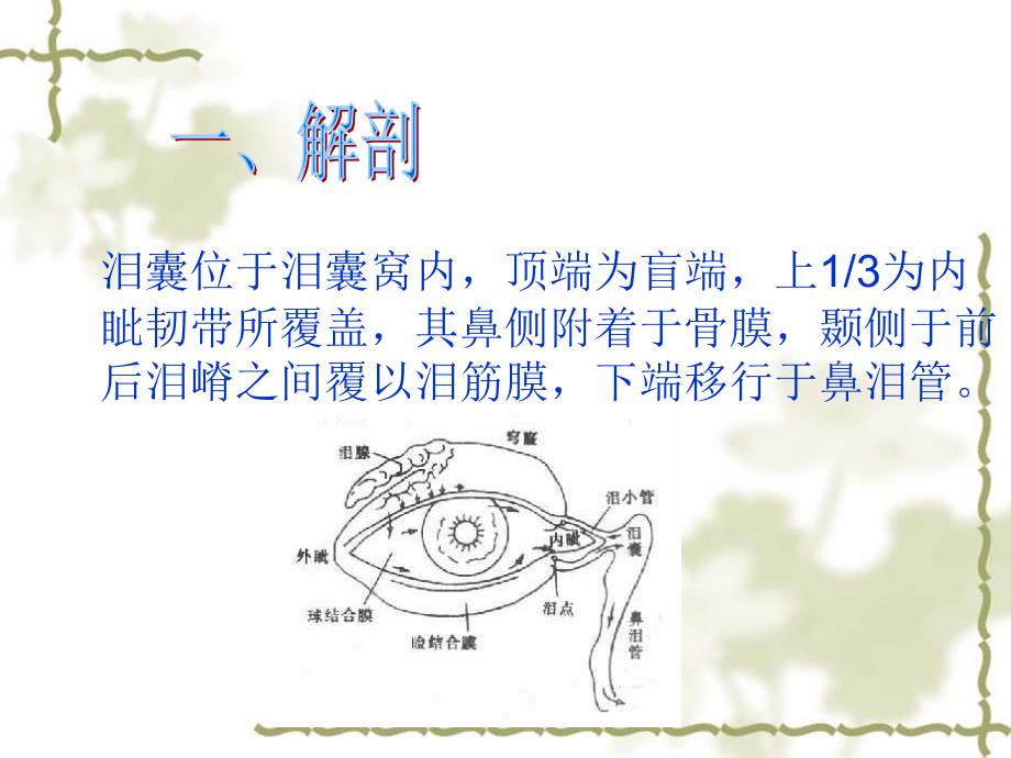 泪囊炎_2课件_第2页