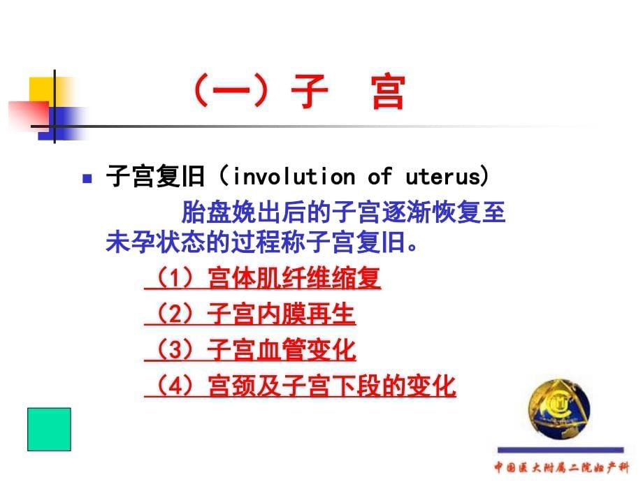 正常产褥_4课件_第5页