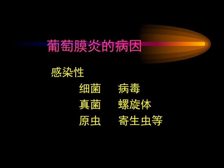 葡萄膜视网膜病视神经（ppt_x页）课件_第5页