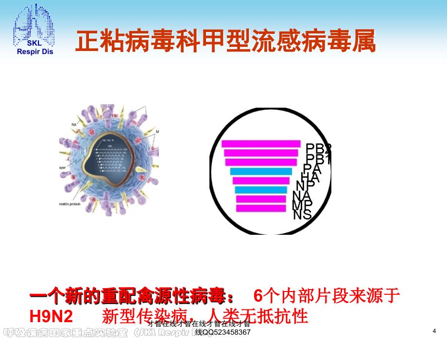 甲型h7n9人感染禽流感医院防控知识培训课件_第4页
