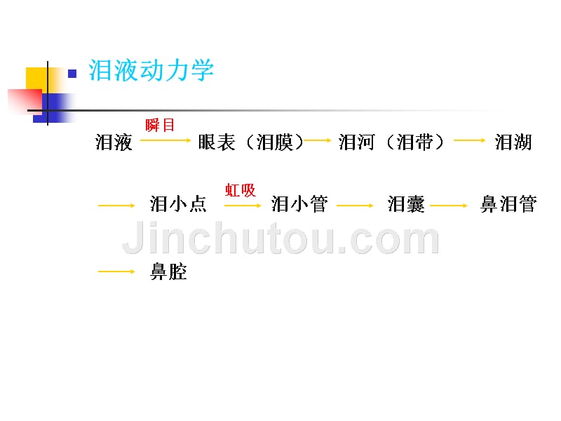 第七章泪器病课件_第5页