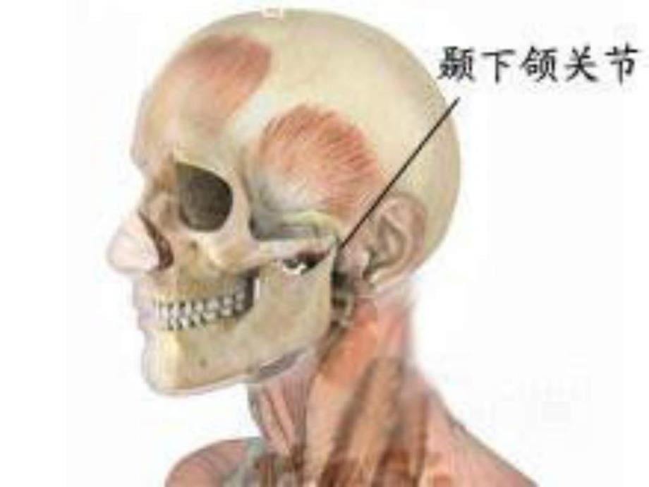 颞下颌关节常见病_2课件_第1页