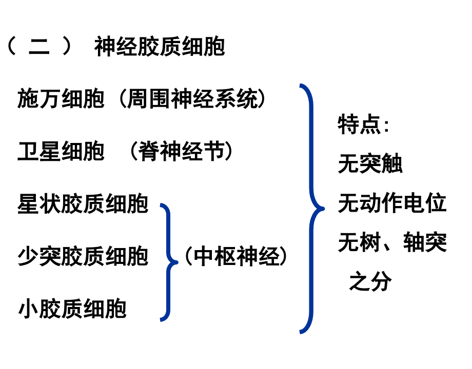 神经骨伤 高三生物ppt课件教案 人教版_第4页