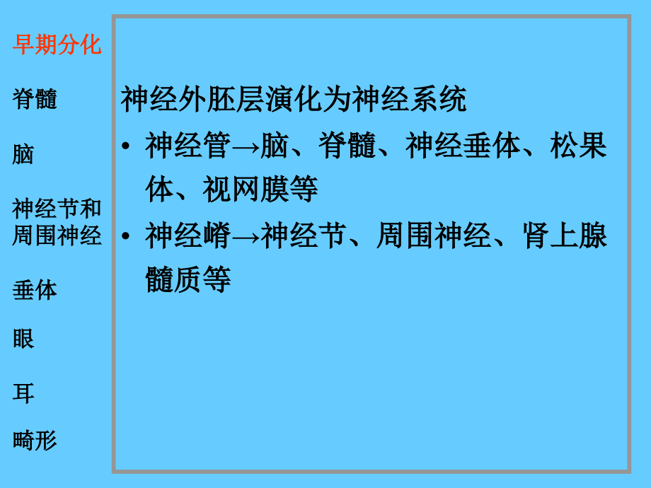 脑脑神经系统神经系统和眼耳的发生课件_第2页