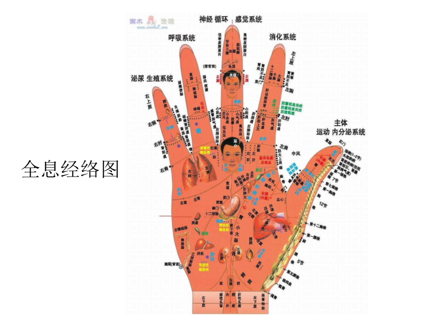 观掌知健康《课件一》_第2页