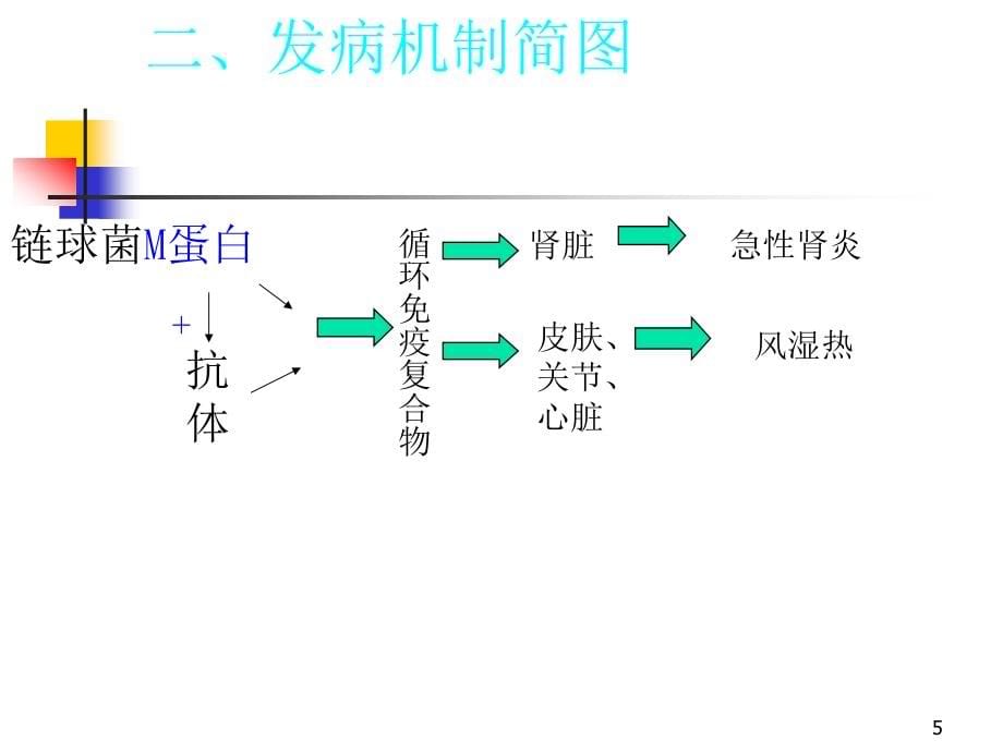 风湿热_ 赣南医学院课件_第5页