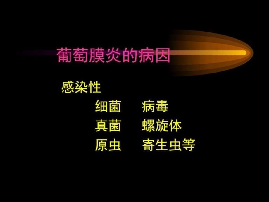 葡萄膜视网膜病视神经_1课件_第5页