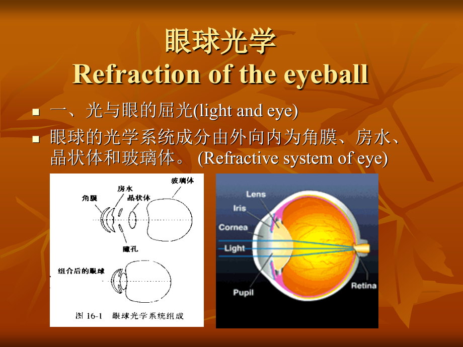 第十六十七章_眼视光学眼外肌和弱视课件_第2页