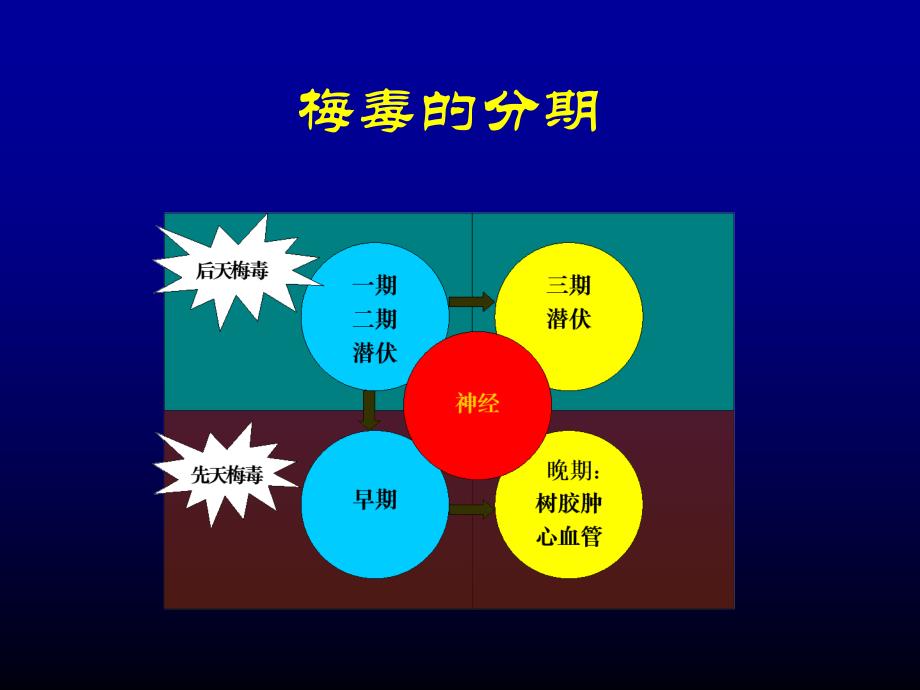 常见性病的诊疗PPT课件_第4页