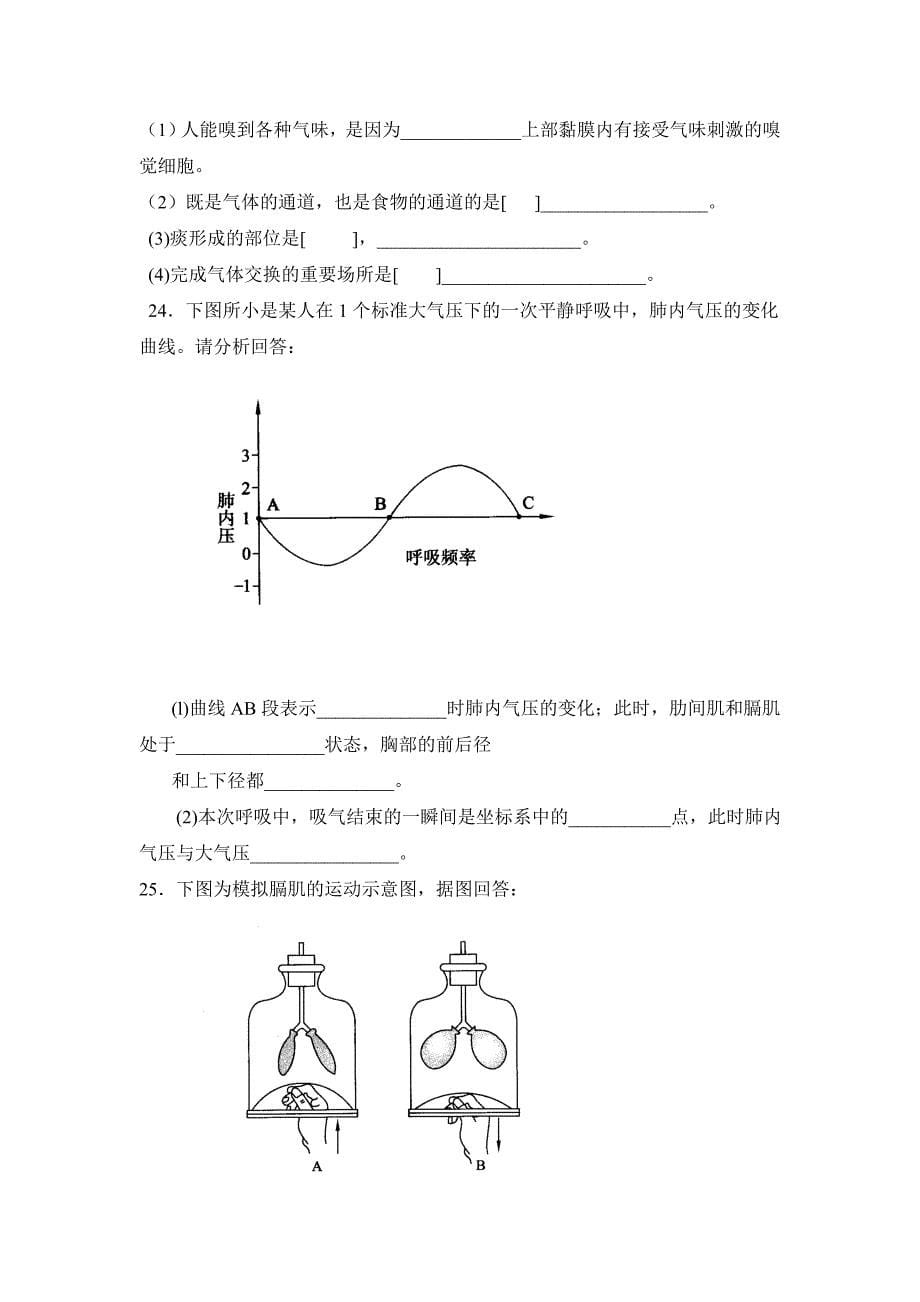 《人体的呼吸》单元测试2_第5页