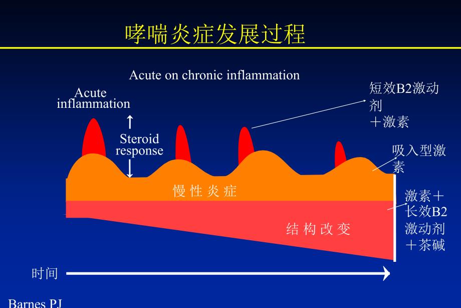 小儿哮喘幻灯优质文档课件_第4页